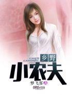 最强赘婿简介