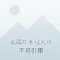费伦蝶影里番